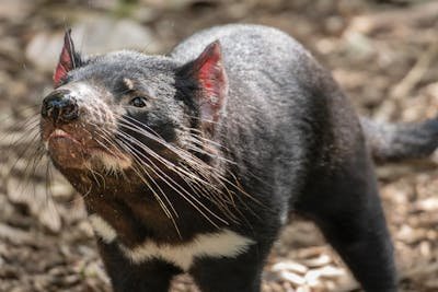 pexels-miguel-cuenca-67882473-22499009