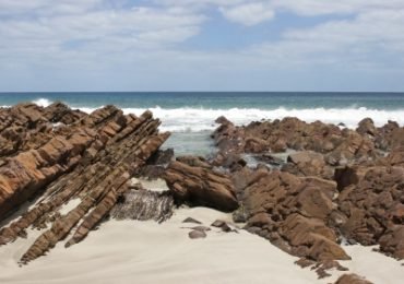 stokes-bay-kangaroo-insel