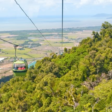 regenwald-auf-der-strasse-nach-kuranda